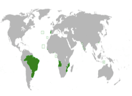 Citizenship by Special Association: Israel and Certain Portuguese Colonies